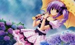  dress flower garden long_hair navel nishimata_aoi purple_hair rain solo tagme umbrella 