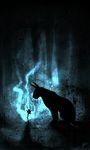 blue caracal dark dark_theme feline flower glowy lhuin mammal mystic silhouette 
