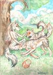  anthro basket canine colored detailed detailed_background female feral kekpafrany mammal painting traditional traditional_media wolf 