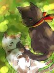  animal animalization axis_powers_hetalia bad_id bad_pixiv_id black_cat blue_eyes blush blush_stickers cat cat_focus closed_eyes flag_print german_flag germany_(hetalia) germany_(nekotalia) grass lying male_focus no_humans northern_italy_(hetalia) northern_italy_(nekotalia) on_back print_ribbon ribbon sitting tail whiskers 