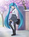  alternate_costume aqua_hair arms_behind_back blue_eyes cherry_blossoms hatsune_miku highres legs loafers long_hair looking_at_viewer open_mouth school_uniform serafuku shiny shoes smile solo thighhighs twintails very_long_hair vocaloid wacchi zettai_ryouiki 