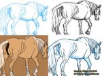  anatomically_correct_pussy animal_genitalia anus butt drawing equine equine_pussy female feral gdane horse how mammal pussy solo to 