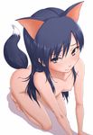  all_fours animal_ears barefoot blue_hair blush brown_eyes flat_chest idolmaster idolmaster_(classic) kisaragi_chihaya long_hair nipples nude puton solo tail tears 