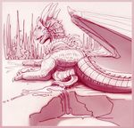  cum draco dragon dragonheart feral horn male monochrome penis scalie skadjer solo western_dragon wings 