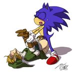  bottomless clothed clothing crossover elf gay half-dressed hedgehog legend_of_zelda link male mammal penis rockgaara sega sonic_(series) sonic_team sonic_the_hedgehog the_legend_of_zelda tunic video_games 