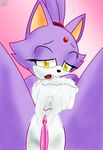  blaze_the_cat seyferwolf sonic_team tagme 