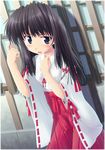  black_hair copyright_request hakama japanese_clothes long_sleeves miko rain red_hakama solo wet yamabuki_zarame 