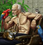  armchair beard bird bird_on_hand blue-and-yellow_macaw cat chair facial_hair grey_hair macaw male_focus matataku monita_(matataku) muscle old old_man omamori original parrot scarlet_macaw shirtless sitting solo tiger 