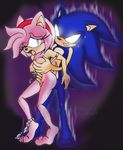  amy_rose raianonzika sonic_team sonic_the_hedgehog tagme 