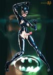  batman_returns catwoman dc tagme 