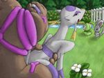  conkeldurr mienshao minccino petilil pokemon 