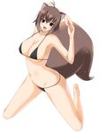  aiba_yuuji animal_ears arms_up bad_id bad_pixiv_id barefoot bikini blazblue blush breasts brown_hair covered_nipples fang highres kneeling large_breasts legs long_legs makoto_nanaya open_mouth short_hair solo squirrel_ears squirrel_tail swimsuit tail thighs underboob 