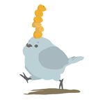  avian bird cute feral fruit non-anthro orange orange_(fruit) pinopino plain_background solo white_background 