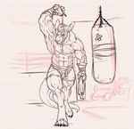  bandage biceps boxer claws clothed clothing fur gym hair half-dressed kangaroo looking_at_viewer male mammal marsupial muscles neodokuro nipples pecs punching_bag shorts sketch solo sport sweat tail toe_claws topless towel water 