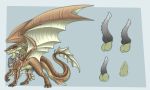  absurd_res aerusan balls bluekite dragon eyewear feral glasses hi_res knot male membranous_wings model_sheet neryn_vox penis prehensile_(disambiguation) scarf slit solo wings 