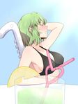  blush breasts cleavage cum female green_hair heart kazami_yuuka solo straw touhou youkai 