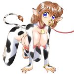  animal_ears artist_request bell blue_eyes breasts collar cow_bell cow_girl cowbell cowgirl extra_breasts horns large_breasts large_nipples leash multi_breast multiple_breasts nose_ring septum_piercing tail 