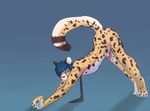  cheetah erection feline hair harlem larvitar larvitar_(artist) male mammal necktie penis precum solo stretching 
