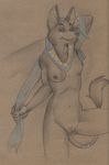  anthro anubian_jackal breasts canine egyptian female jackal mammal nduli nipples nude pussy solo towel 