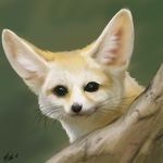  :3 ambiguous_gender branch canine cute darksilver fennec feral fox mammal solo whiskers 