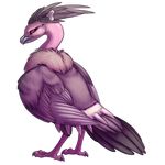  avian bone female mandibuzz nintendo plain_background pok&#233;mon pok&eacute;mon realistic red_eyes solo soulwithin465 standing transparent_background video_games vulture 