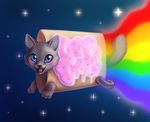  blue_eyes cat cute feline flying food frosting happy kawaiipiepie magpie_(artist) mammal nyan_cat poptart rainbow solo space sprinkles stars sweet tail what 