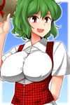  female green_hair happy hat kazami_yuuka red_eyes smile solo touhou unadare youkai 