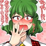  blush embarrassed female green_hair kazami_yuuka open_mouth red_eyes touhou translation_request unadare youkai 
