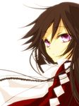  alice_(pandora_hearts) bad_id bad_pixiv_id brown_hair long_hair pandora_hearts pink_eyes solo tsukimori_usako 