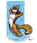  balls canine feline fox hybrid male mammal penis plain_background shower solo tiger vates water waterfall white_background 