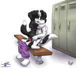  anal anal_penetration anthro anus balls border_collie brother brothers canine couple cub cum cum_inside dog duo gay incest jesse_collins knot locker_room male mammal penetration penis plain_background roni roni_collins sibling white_background wolfblade young 