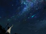  ascot black_hair comet from_behind glint lamp marble night night_sky original outstretched_arm scenery school_uniform sky solo star_(sky) starry_sky tree 