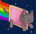  cat feline fur grey_fur mammal nyan_cat rainbow solo space stars tail unknown_artist 