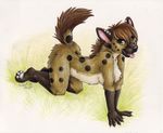  anthro breasts cute domino female green_eyes hyena looking_at_viewer mammal nipples nude piercing plain_background silentravyn solo traditional_media white_background 