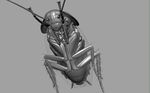  3d animal antenna antennae cockroach insect monochrome no_humans okapi pixiv1297272 simple_background solo 