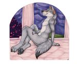  canine green_eyes korrok male mammal moon night nude paws sitting solo wolf 