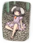  animal_ears bamboo bamboo_forest barefoot bunny_ears child female forest inaba_tewi kanno nature sketch solo touhou 