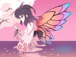 aisha_(elsword) bad_id bad_pixiv_id black_hair candy cherry_blossoms dexp elsword food gradient_hair gradient_wings japanese_clothes kimono lollipop looking_down multicolored multicolored_hair multicolored_wings purple_eyes solo wading water wings 