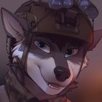  2019 armor black_nose blue_eyes brown_hair camo canid canine canis fur grey_fur hair helmet icon joe_(physicswolf) koul looking_at_viewer male mammal military night_vision_goggles smile teeth white_fur wolf 
