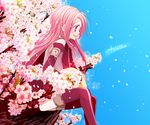  arietta asrhion cherry_blossoms long_hair petals pink_eyes pink_hair profile purple_legwear sitting smile solo tales_of_(series) tales_of_the_abyss thighhighs tree 
