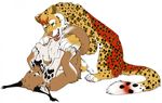  caracal cunnilingus feline female feral green_eyes leopard lesbian licking lynx mammal oral oral_sex paws plain_background pussy sex tongue toradoshi vaginal white_background yellow_eyes 