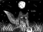  arachnid arthropod ball cat feline flying_saucer greyscale mammal monochrome moon night solo spider stars unknown_artist 