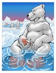  balls bear chubby dbruin erection fur group male mammal masturbation nude paws penis polar_bear solo swimming toes voyeur water white white_fur 