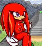  big_breasts breasts female knuckles_the_echidna master_emerald nipples purple_eyes red red_nipples sega sitting solo sonic_(series) tagme 