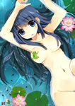  armpits blue_eyes blue_hair blush breasts censored convenient_censoring flower frog from_above hair_censor hair_over_breasts kaisanbutsu large_breasts lily_pad living_clothes long_hair lying navel nude on_back original out-of-frame_censoring partially_submerged solo tadpole water 