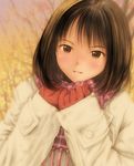  blush brown_eyes brown_hair coat gloves highres kobayashi_yuuji original plaid plaid_scarf scarf solo tree upper_body winter_clothes 