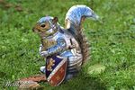  armor coat_of_arms feral hero knight mammal nut photo real rodent shield soldier solo squirrel sword unknown_artist weapon worth1000 
