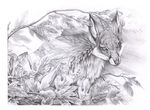  canine facial_markings feral fox greyscale hibbary leaves mammal markings monochrome plain_background simple_background solo white_background 