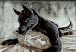  black black_fur butt canine dog fur hindpaw invalid_tag looking_at_viewer lying male mammal painting paws pillow shalinka solo wolf 