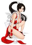  black_eyes black_hair breasts cleavage fatal_fury gloves japanese_clothes large_breasts legs long_hair obi one_knee pelvic_curtain pon ponytail revealing_clothes revision rope sash shiranui_mai simple_background solo the_king_of_fighters 